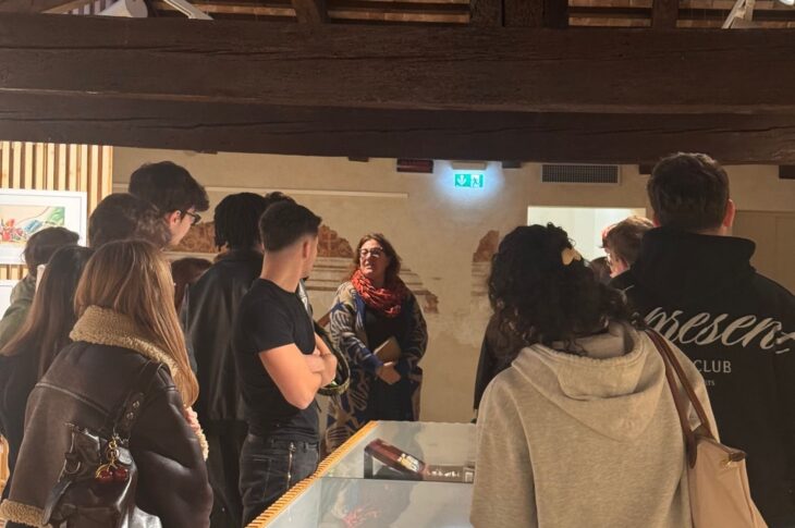 Collezione Salce a Treviso2